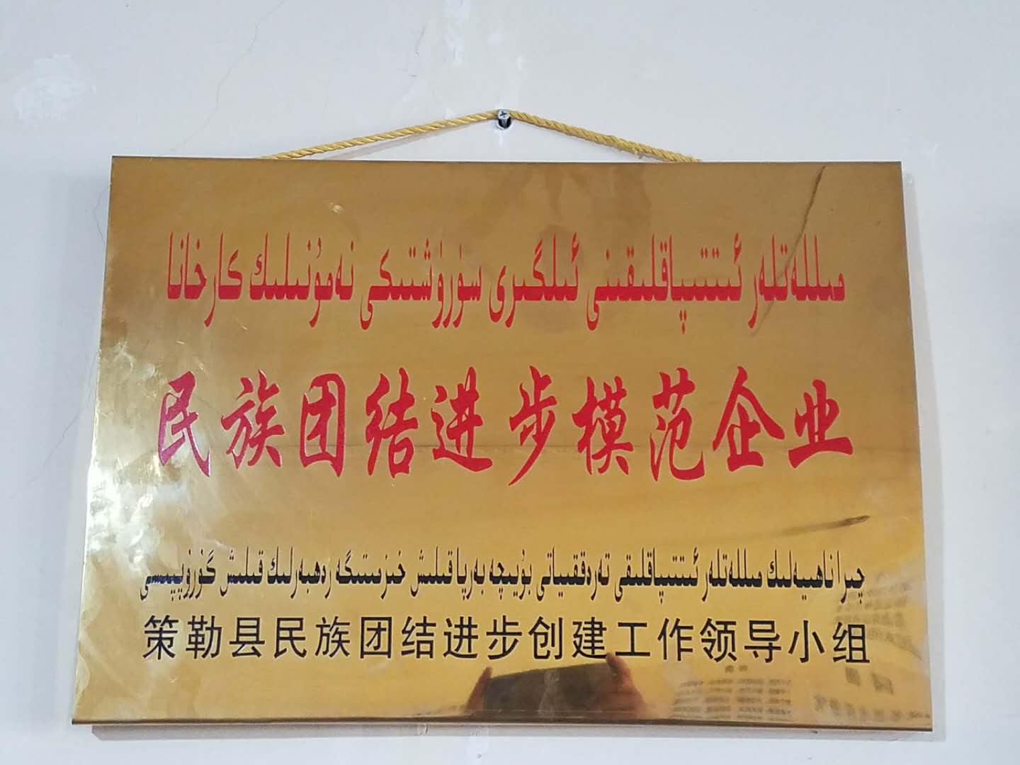 民族团结进步模范企业.jpg